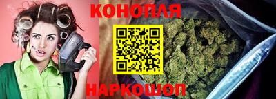 прущие крисы Малгобек