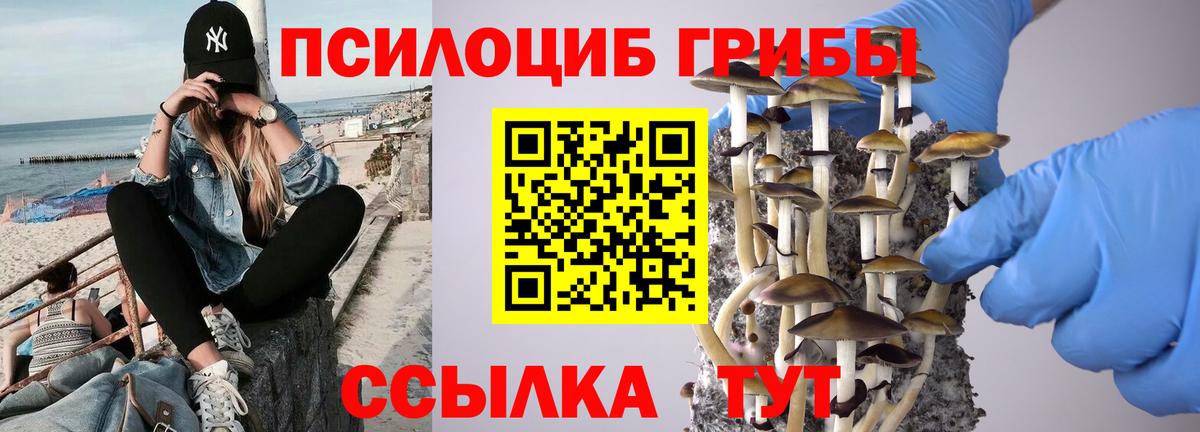 Псилоцибиновые грибы прущие грибы Горячий Ключ